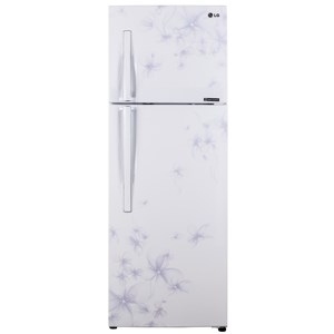 Tủ lạnh LG Inverter 208 lít GN-L225BF